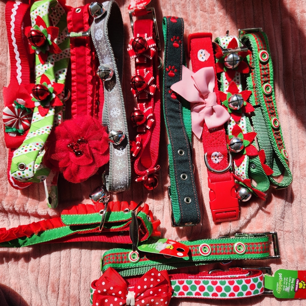 Holiday pet collars, clothes, photoprops